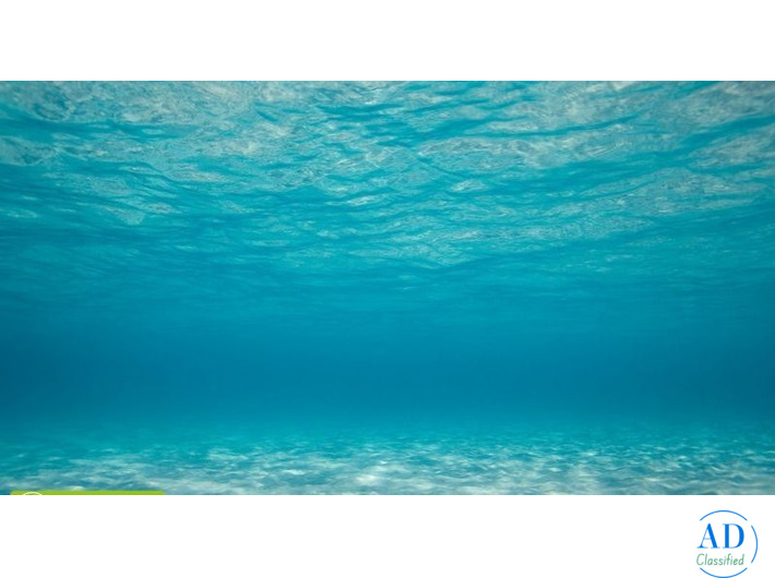 Relax, Vacaciones En Las Playas Del Caribe