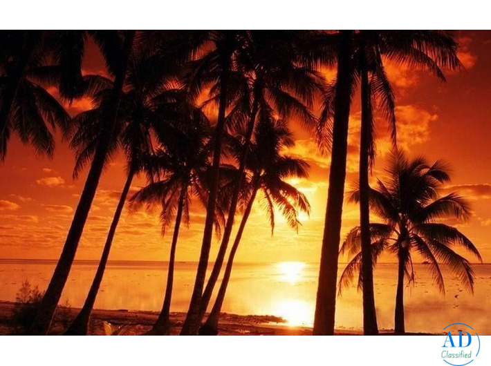 Relax, Vacaciones En Las Playas Del Caribe