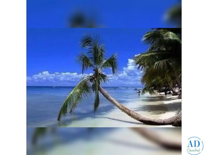 Relax, Vacaciones En Las Playas Del Caribe