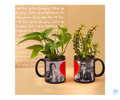 Best Online Anniversary Gifts in Mohali - Woofern