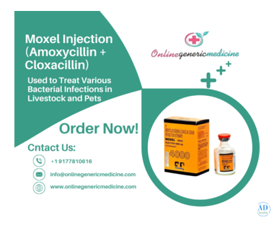 Veterinary Care with Moxel Injection (Amoxycillin Cloxacillin) | Buy At Online Generic Medicine