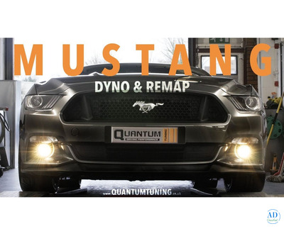 Quantum - Chip Tuning and ECU Remapping Files Service - Denmark