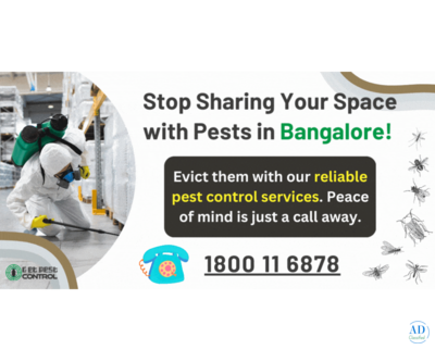 Pest Control in Bangalore | Safe, Affordable, Same Day Service
