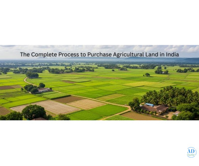 The Complete Process to Purchase Agricultural Land in India