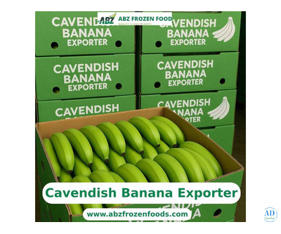 Golden Taste, Global Trust – Premier Cavendish Banana Exporter