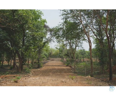 How to Invest in Agricultural Land in Nagpur