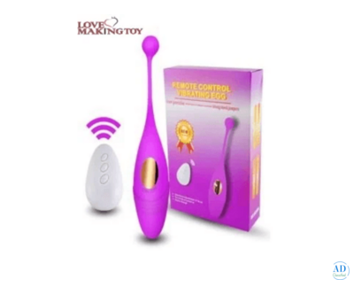 Remote Control Egg at only ₹1599