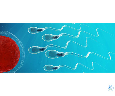 Best TESA and PESA Fertility Treatment in Bangalore