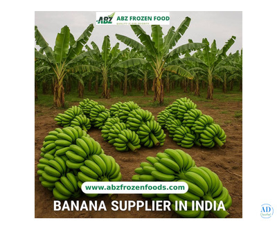 Freshness You Crave, Quality You Deserve – Leading Banana Supplier in India
