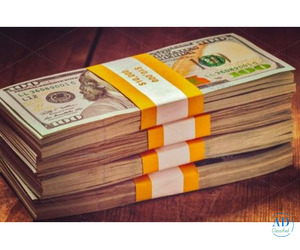 Email: bullsindia187@gmail.com