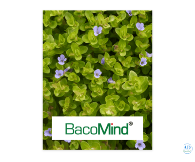 Natural Remedies Human Health | Clinically Proven Extracts