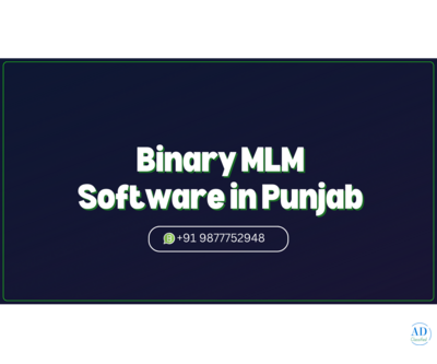 Looking for an MLM Software Development Company in Punjab?