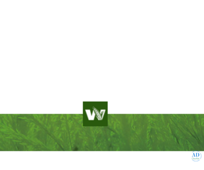 Western Packaging