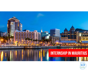 Mauritius Internships
