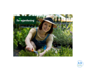 Cheap Grass Cutting Service Near Me | Lawn Mowers Hoppers Crossing