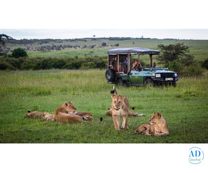 How to Plan a Family Safari in Africa for a Safe and Memorable Trip