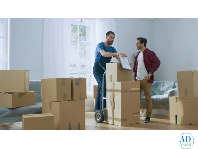 Kauai Movers Professional Moving Help with Care and Efficiency