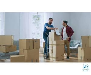 Kauai Movers Professional Moving Help with Care and Efficiency