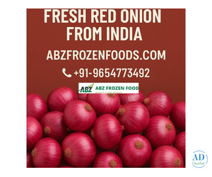 Freshness to the World – Trusted Exporter of Fresh Red Onion from India