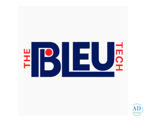 Digital Marketing Services in Ludhiana - The Bleu Tech