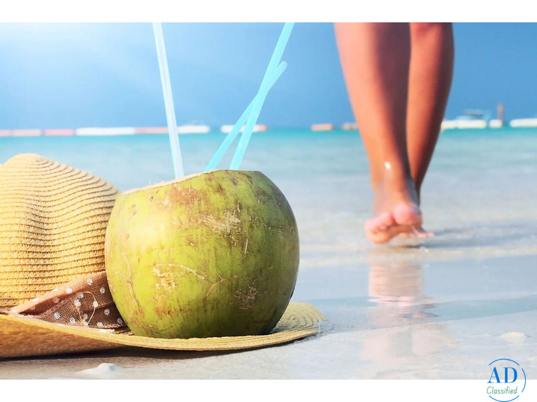 Pasare Las Navidades En Republica Dominicana..
