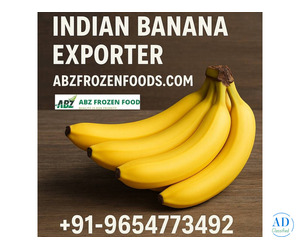 Cultivating Quality, Connecting Continents – Top Indian Banana Exporter