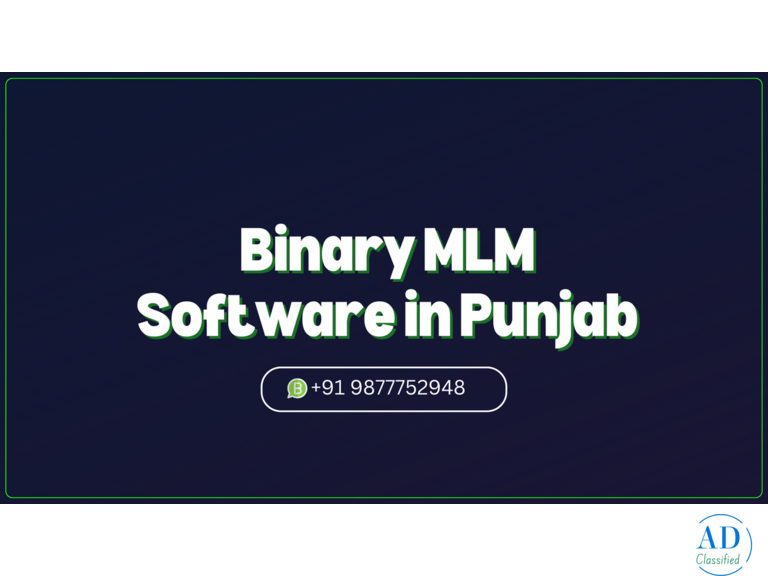 MLM Software Development Company in Punjab