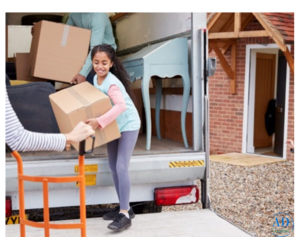 Reliable Office Removalists Adelaide for Stress-Free Relocations