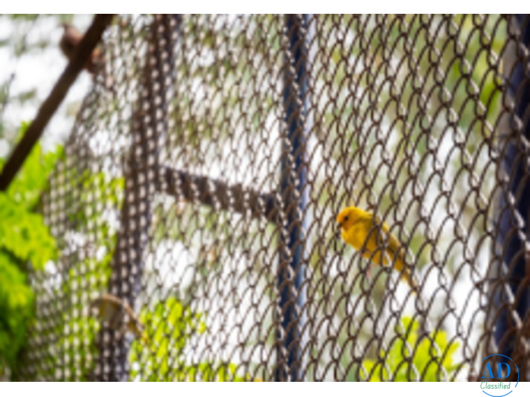 Invisible Bird Net Manufacturers