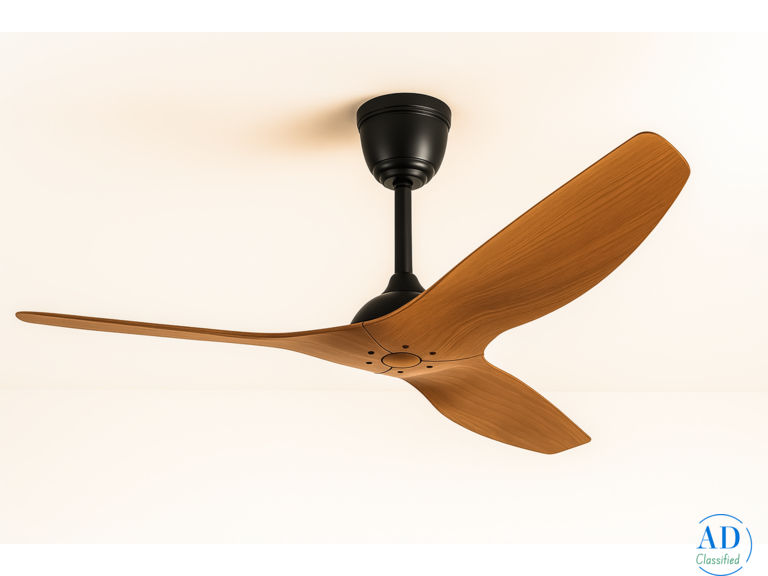 Best Quality Elegant Designer Fan by Wadbros