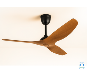 Best Quality Elegant Designer Fan by Wadbros