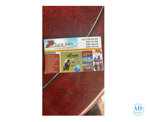 Sure Jobs Tours and Travel +256 755 643 885 In Uganda Kampala. Sure Jobs Tours and Travel +256 755 643 885 In Uganda Kampala.
