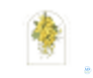 Resort with private pool in Jaipur-- Anopura