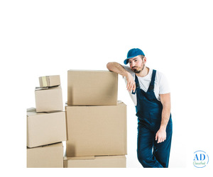 My Area: Affordable, Quick, and Safe Relocation Services