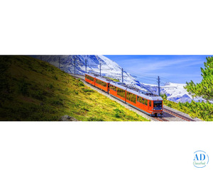 Switzerland Honeymoon & Tour Packages from India