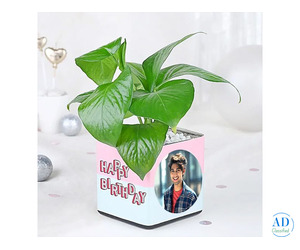 Online Birthday Gifts in Chandigarh - Woofern