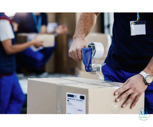 Difference Between Warehouse and Storage Logistics