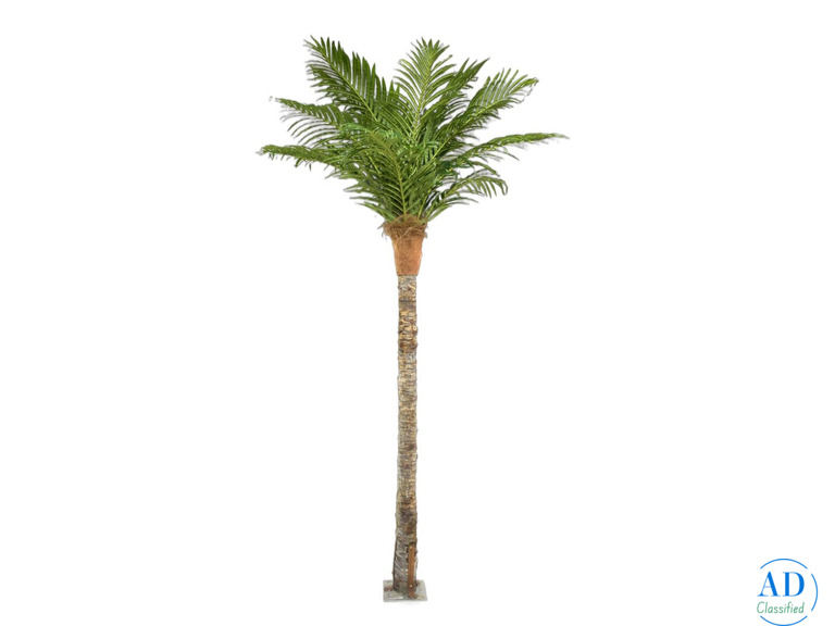 Designer wallpapers near me