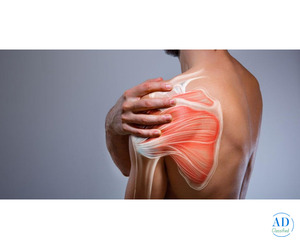 Best Shoulder Replacement Surgery in Ahmedabad – Expert Orthopedic Solutions Best Shoulder Replacement Surgery in Ahmedabad – Expert Orthopedic Solutions