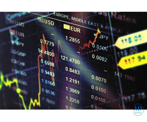 Index Infotech: The Best Algo Trading Software in India