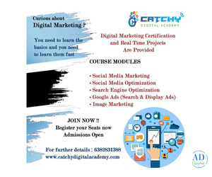 Catchy seo training in coimbatore