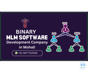 Best MLM Software Development Company in Mohali
