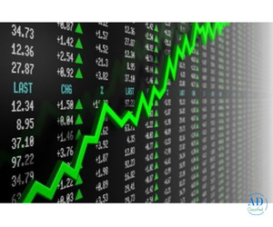 Maximize Your Returns: Best Algo Trading Software in India with IndexInfotech