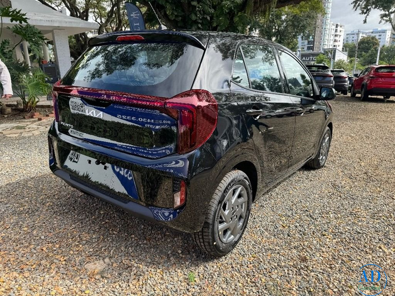 Carro, Jeepeta, Deportivo o Camioneta?