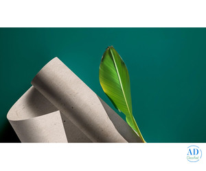 Eco-Friendly Papers | Sustainable Paper by Bluecat Paper