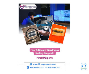 Fast & Secure WordPress Hosting Support | HireWPExperts Experts