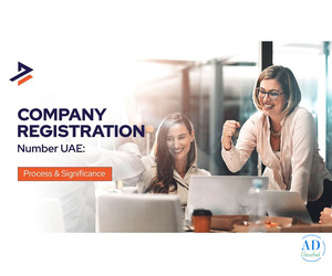 Understanding the UAE Company Registration Number for Business Setup