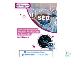 Grow Your Business with Affordable WordPress SEO Services in USA | HireWPExperts
