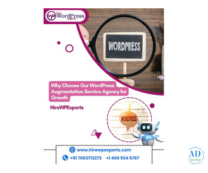 Why Choose Our WordPress Augmentation Service Agency for Growth | HireWPExperts