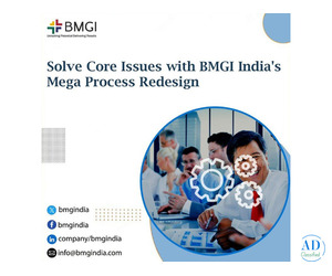 Solve Core Issues with BMGI India's Mega Process Redesign